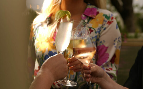 Women with different drinks having a toast